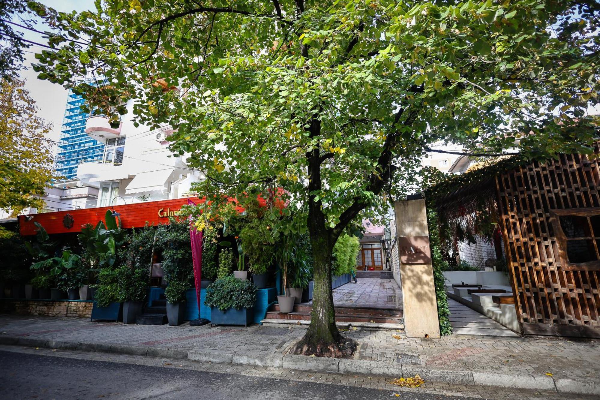 Noela'S Place Tirana Buitenkant foto